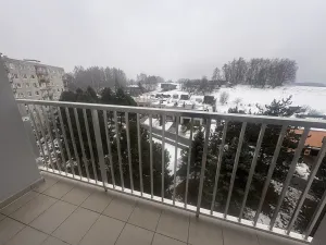 Prodej bytu 2+1, Nová Paka, K Hájku, 55 m2