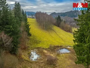 Prodej pozemku pro bydlení, Chřibská - Horní Chřibská, 20128 m2