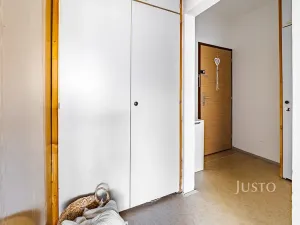 Prodej bytu 1+1, České Budějovice, N. Frýda, 41 m2