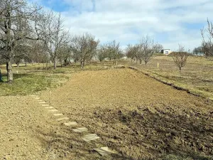 Prodej rodinného domu, Boršice, 280 m2