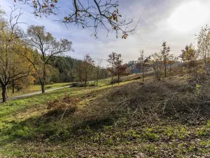 Prodej pozemku, Všechlapy, 927 m2