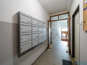 Pronájem bytu 2+1, Praha - Žižkov, Biskupcova, 69 m2