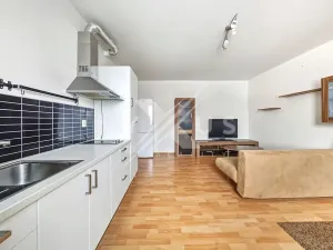 Pronájem bytu 2+kk, Břežany II, 47 m2