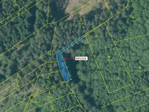 Dražba lesa, Netřebice, 295 m2