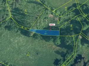 Dražba louky, Zavlekov, 272 m2