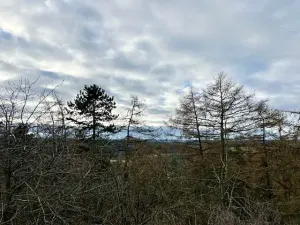 Prodej zahrady, Nové Strašecí, Sukova, 934 m2