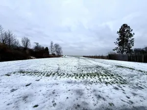 Prodej pozemku, Brázdim - Starý Brázdim, 1371 m2