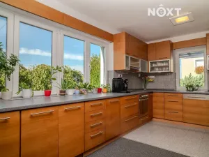 Prodej vícegeneračního domu, České Budějovice, Borovanská, 195 m2