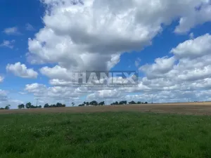 Prodej pozemku pro bydlení, Kokořín, 10009 m2