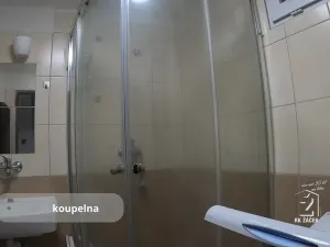 Pronájem bytu 1+1, České Budějovice, Pražská tř., 38 m2