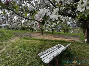 Prodej pozemku pro bydlení, Bílé Poličany, 2980 m2