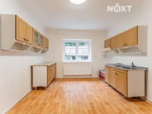 Pronájem rodinného domu, Olšany, 219 m2