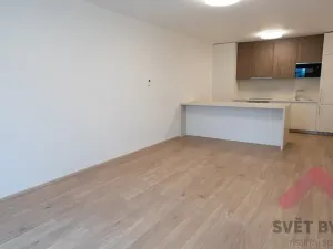 Pronájem bytu 2+kk, Praha - Žižkov, Hartigova, 67 m2