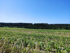 Prodej zahrady, Černovice - Panské Mlýny, 4180 m2