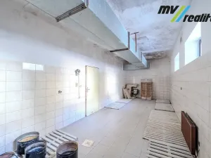 Prodej výrobních prostor, Hořice, Riegrova, 720 m2