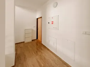 Pronájem bytu 4+1, Říčany, 17. listopadu, 104 m2