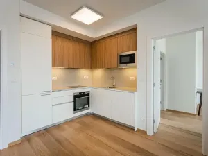 Pronájem bytu 2+kk, Praha - Smíchov, Holečkova, 71 m2