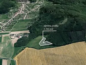 Prodej podílu pole, Sentice, 2703 m2