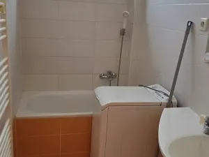 Pronájem bytu 2+1, Brno, Náplavka, 53 m2