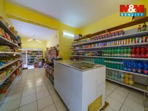 Pronájem obchodního prostoru, Cheb, Kamenná, 59 m2