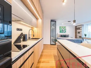 Pronájem bytu 1+kk, Brno, Nové sady, 54 m2