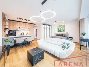 Pronájem bytu 1+kk, Brno, Nové sady, 54 m2