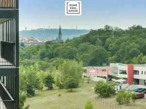 Pronájem bytu 1+kk, Praha - Žižkov, Pitterova, 47 m2