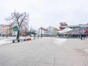 Prodej bytu 2+1, Hradec Králové - Pražské Předměstí, U Koruny, 60 m2