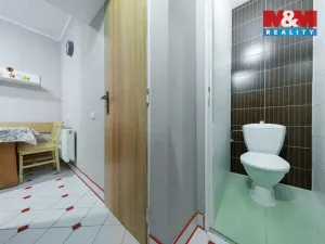 Prodej rodinného domu, Jáchymov, Boženy Němcové, 247 m2