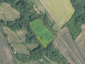 Prodej pole, Traplice, 15472 m2