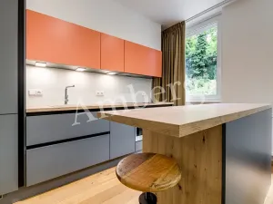 Pronájem bytu 1+kk, Praha - Vinohrady, Perucká, 26 m2