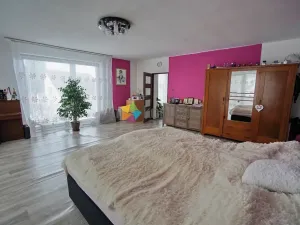 Prodej rodinného domu, Nový Malín, 300 m2