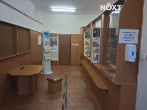 Pronájem skladu, České Budějovice, Pražská tř., 80 m2