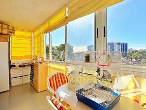 Prodej bytu 2+kk, Torrevieja, Španělsko, 41 m2