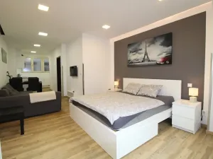 Pronájem bytu 1+kk, Praha - Nové Město, Opletalova, 35 m2