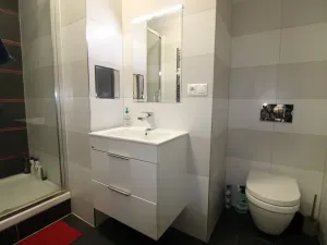 Pronájem bytu 1+kk, Praha - Nové Město, Opletalova, 35 m2