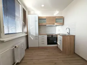 Pronájem bytu 1+kk, Most, Lipová, 33 m2