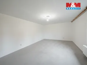 Prodej rodinného domu, Město Albrechtice - Opavice, 250 m2