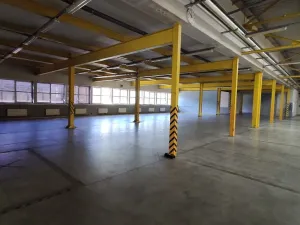 Pronájem výrobních prostor, Strakonice - Strakonice II, Tovární, 4035 m2