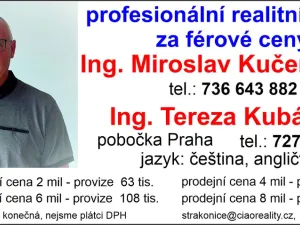 Pronájem obchodního prostoru, Strakonice - Strakonice I, Písecká, 6170 m2