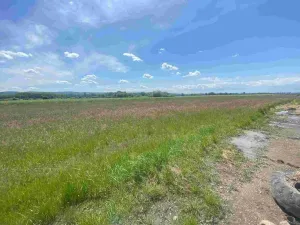 Prodej pozemku, Kravaře, 2873 m2