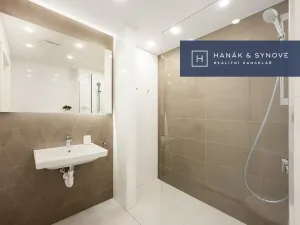 Pronájem bytu 1+kk, Brno, Koliště, 22 m2