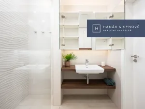 Pronájem bytu 1+kk, Brno, Koliště, 22 m2