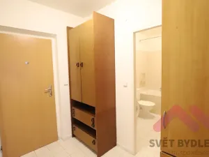 Pronájem bytu 1+kk, Praha - Vysočany, bratří Dohalských, 44 m2