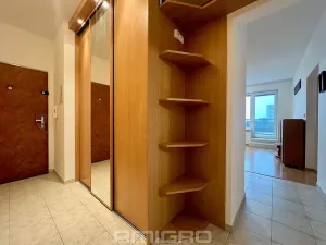 Pronájem bytu 2+kk, Brno, Plachty, 58 m2