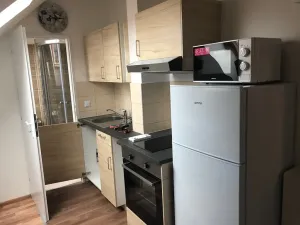 Pronájem bytu 1+kk, Praha - Michle, Čapkova, 25 m2