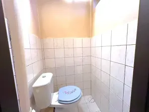 Pronájem komerční nemovitosti, Brandýs nad Labem-Stará Boleslav, 70 m2