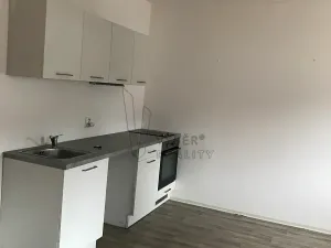 Pronájem bytu 1+kk, Litoměřice, Nerudova, 32 m2