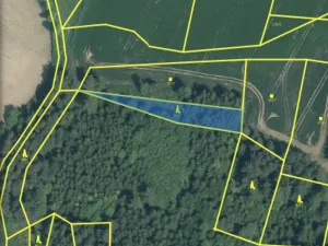 Prodej lesa, Čepřovice, 982 m2
