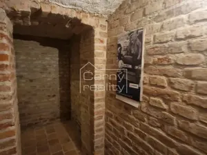 Pronájem bytu 4+kk, Pardubice, V Ráji, 350 m2